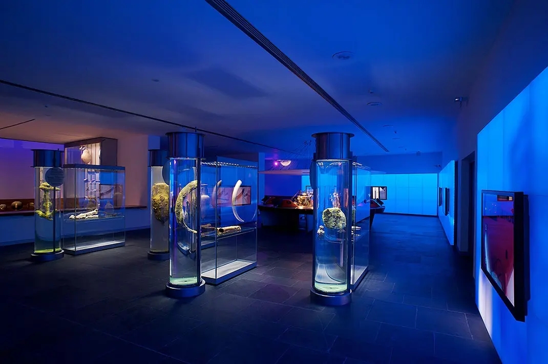 展覽展區(qū) ， 展覽 ， 展區(qū) ， 鑫時空